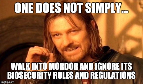 One Does Not Simply | ONE DOES NOT SIMPLY... WALK INTO MORDOR AND IGNORE ITS BIOSECURITY RULES AND REGULATIONS | image tagged in memes,one does not simply | made w/ Imgflip meme maker