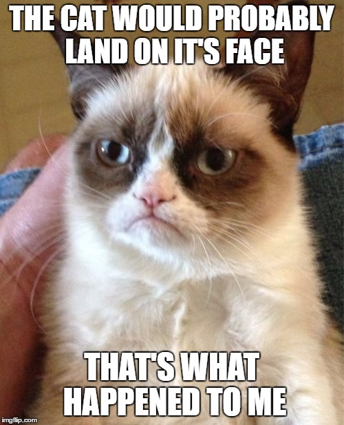THE CAT WOULD PROBABLY LAND ON IT'S FACE THAT'S WHAT HAPPENED TO ME | image tagged in memes,grumpy cat | made w/ Imgflip meme maker