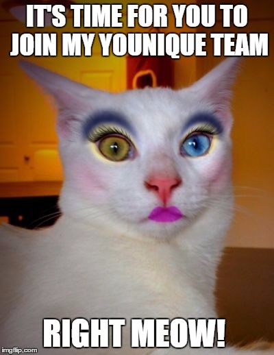 Makeup cat Latest Memes - Imgflip