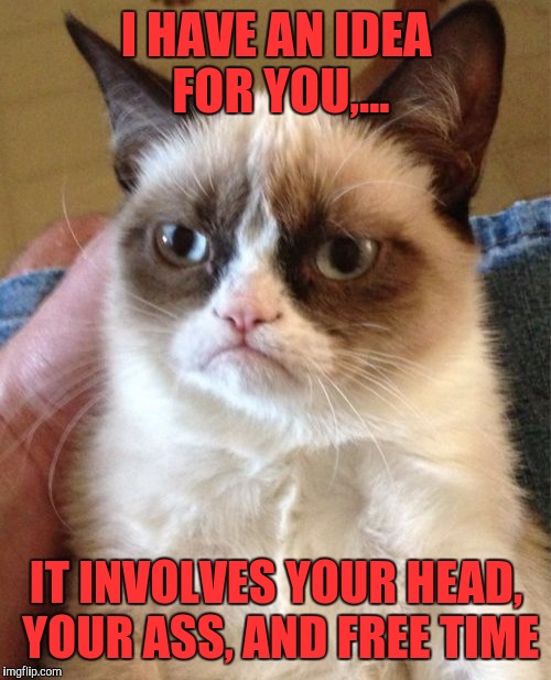Grumpy Cat Meme | I HAVE AN IDEA FOR YOU,... IT INVOLVES YOUR HEAD, YOUR ASS, AND FREE TIME | image tagged in memes,grumpy cat | made w/ Imgflip meme maker