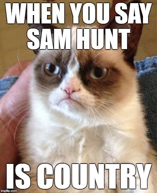 Grumpy Cat | WHEN YOU SAY SAM HUNT; IS COUNTRY | image tagged in memes,grumpy cat | made w/ Imgflip meme maker
