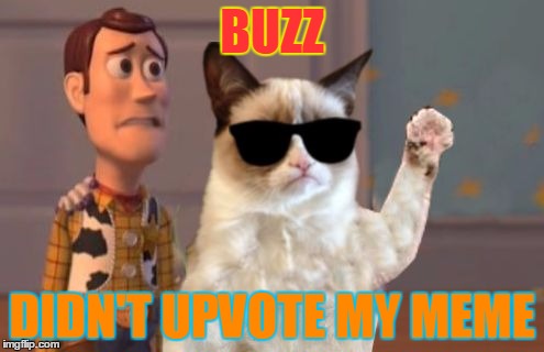 Grumpy Cat Everywhere | BUZZ; DIDN'T UPVOTE MY MEME | image tagged in grumpy cat everywhere,memes,x x everywhere,grumpy cat,woody | made w/ Imgflip meme maker