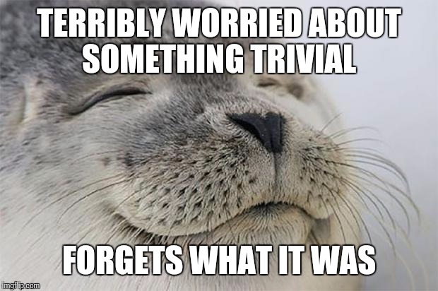 Satisfied Seal | TERRIBLY WORRIED ABOUT SOMETHING TRIVIAL; FORGETS WHAT IT WAS | image tagged in memes,satisfied seal,AdviceAnimals | made w/ Imgflip meme maker