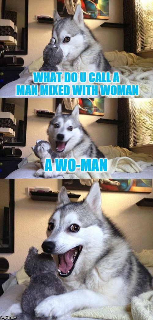 Bad Pun Dog | WHAT DO U CALL A MAN MIXED WITH WOMAN; A WO-MAN | image tagged in memes,bad pun dog | made w/ Imgflip meme maker