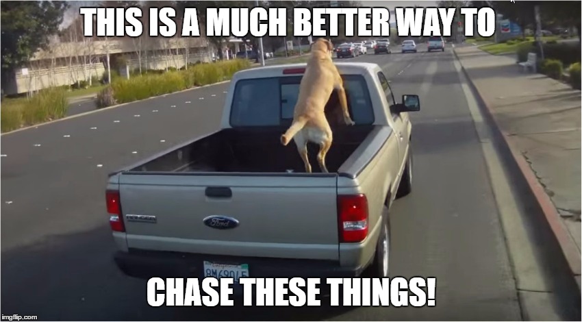 THIS IS A MUCH BETTER WAY TO CHASE THESE THINGS! | made w/ Imgflip meme maker