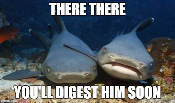 THERE THERE YOU'LL DIGEST HIM SOON | made w/ Imgflip meme maker
