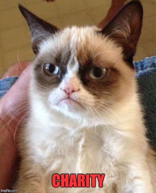 Grumpy Cat Meme | CHARITY | image tagged in memes,grumpy cat | made w/ Imgflip meme maker