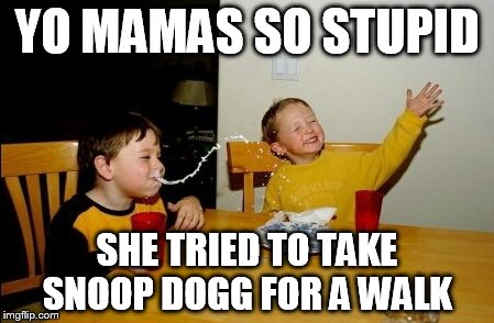 Yo Mamas So Fat Meme | YO MAMAS SO STUPID; SHE TRIED TO TAKE SNOOP DOGG FOR A WALK | image tagged in memes,yo mamas so fat | made w/ Imgflip meme maker