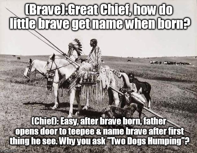 What's in a name? | (Brave):Great Chief, how do little brave get name when born? (Chief): Easy, after brave born, father opens door to teepee & name brave after first thing he see. Why you ask "Two Dogs Humping"? | image tagged in the american indians | made w/ Imgflip meme maker