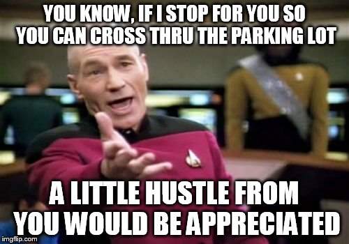 Just a little...... | YOU KNOW, IF I STOP FOR YOU SO YOU CAN CROSS THRU THE PARKING LOT; A LITTLE HUSTLE FROM YOU WOULD BE APPRECIATED | image tagged in memes,picard wtf,funny | made w/ Imgflip meme maker