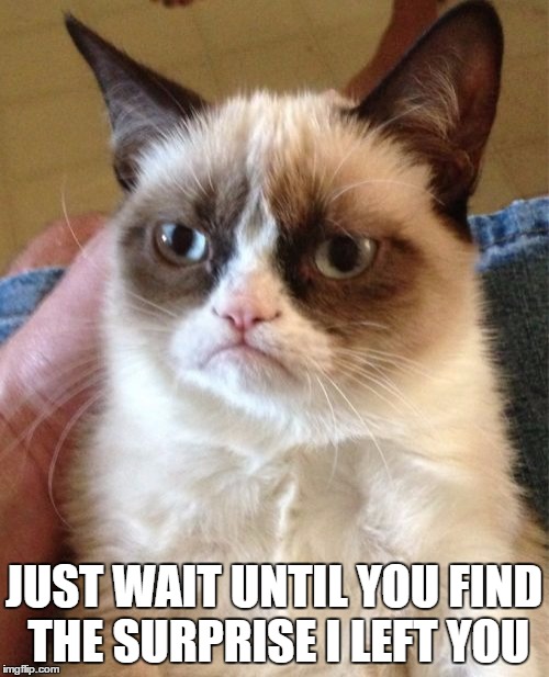 Grumpy Cat Meme | JUST WAIT UNTIL YOU FIND THE SURPRISE I LEFT YOU | image tagged in memes,grumpy cat | made w/ Imgflip meme maker
