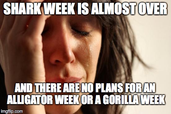 HOW WILL I GO ON? | SHARK WEEK IS ALMOST OVER; AND THERE ARE NO PLANS FOR AN ALLIGATOR WEEK OR A GORILLA WEEK | image tagged in memes,first world problems | made w/ Imgflip meme maker