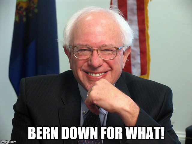 Bernie Sanders | BERN DOWN FOR WHAT! | image tagged in bernie sanders | made w/ Imgflip meme maker