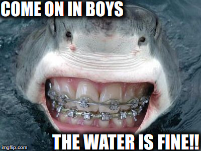 COME ON IN BOYS; THE WATER IS FINE!! | image tagged in shark week | made w/ Imgflip meme maker