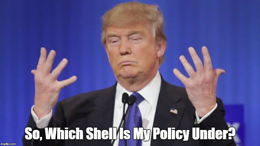 So, Which Shell Is My Policy Under? | made w/ Imgflip meme maker