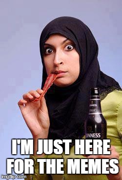Surprised Muslim Lady | I'M JUST HERE FOR THE MEMES | image tagged in surprised muslim lady | made w/ Imgflip meme maker