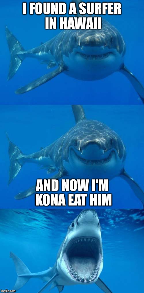 I FOUND A SURFER IN HAWAII AND NOW I'M KONA EAT HIM | image tagged in shark | made w/ Imgflip meme maker