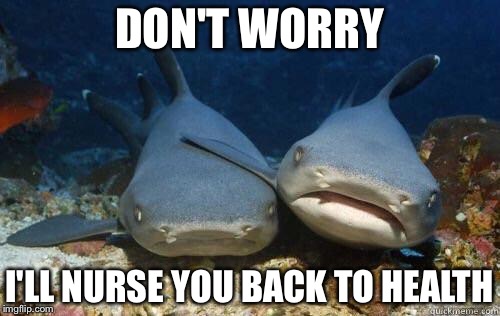 Nurse Sharks | DON'T WORRY; I'LL NURSE YOU BACK TO HEALTH | image tagged in nurse sharks | made w/ Imgflip meme maker