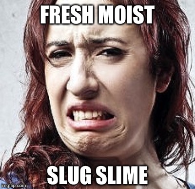 FRESH MOIST; SLUG SLIME | image tagged in disgusted,slug life | made w/ Imgflip meme maker
