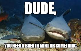 DUDE, YOU NEED A BREATH MINT OR SOMETHING | made w/ Imgflip meme maker