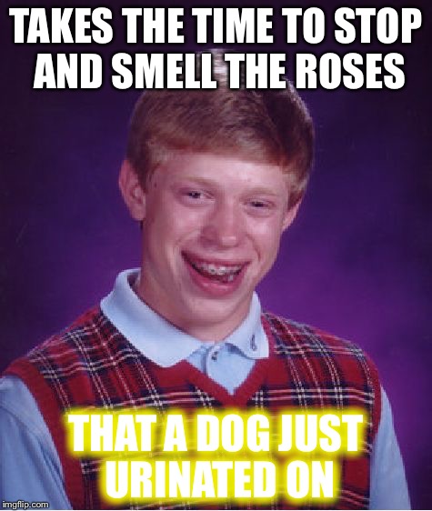 Yellow Roses | TAKES THE TIME TO STOP AND SMELL THE ROSES; THAT A DOG JUST URINATED ON | image tagged in memes,bad luck brian | made w/ Imgflip meme maker