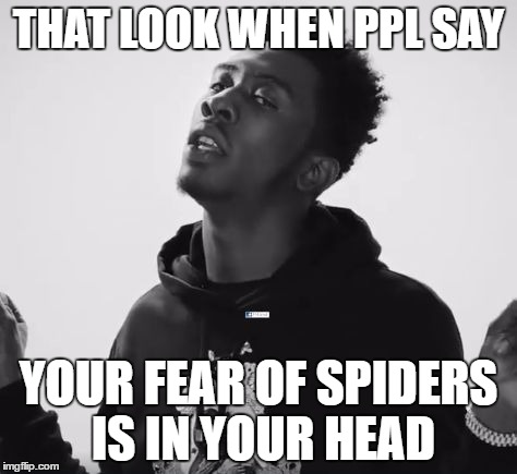 THAT LOOK WHEN PPL SAY; YOUR FEAR OF SPIDERS IS IN YOUR HEAD | image tagged in naaahh | made w/ Imgflip meme maker