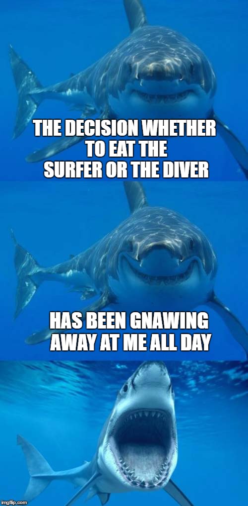 gnawing away | THE DECISION WHETHER TO EAT THE SURFER OR THE DIVER; HAS BEEN GNAWING AWAY AT ME ALL DAY | image tagged in bad shark pun,shark week | made w/ Imgflip meme maker