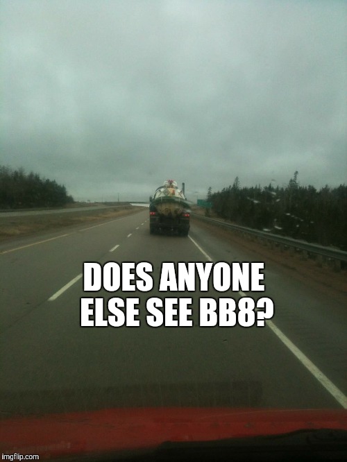 BB8 | DOES ANYONE ELSE SEE BB8? | image tagged in bb8 | made w/ Imgflip meme maker