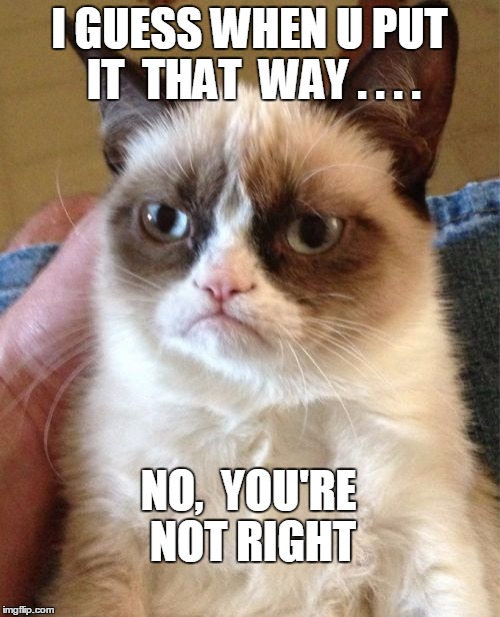 Grumpy Cat Meme | I GUESS WHEN U PUT IT  THAT  WAY . . . . NO,  YOU'RE NOT RIGHT | image tagged in memes,grumpy cat | made w/ Imgflip meme maker