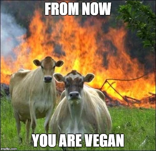 Evil Cows | FROM NOW; YOU ARE VEGAN | image tagged in memes,evil cows | made w/ Imgflip meme maker