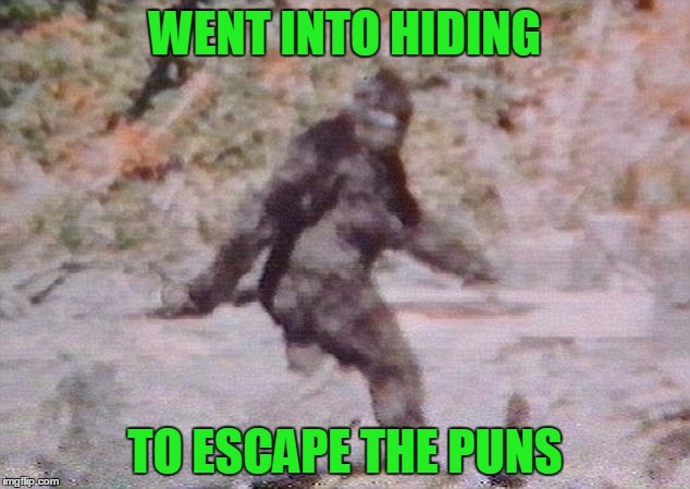 WENT INTO HIDING TO ESCAPE THE PUNS | made w/ Imgflip meme maker