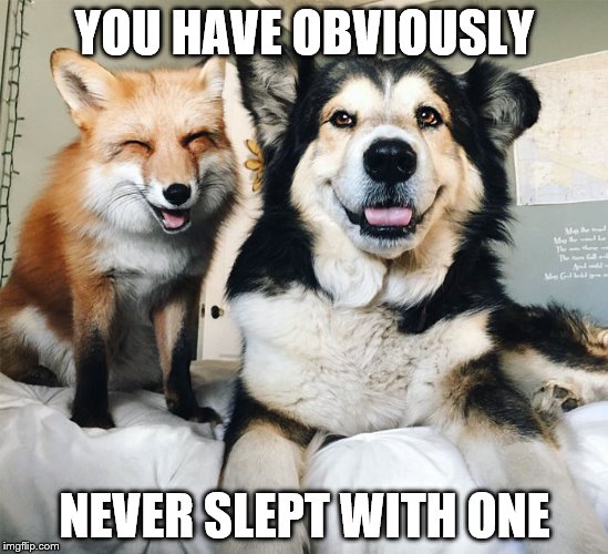 YOU HAVE OBVIOUSLY NEVER SLEPT WITH ONE | made w/ Imgflip meme maker