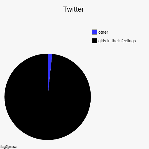 fr  | image tagged in funny,pie charts | made w/ Imgflip chart maker