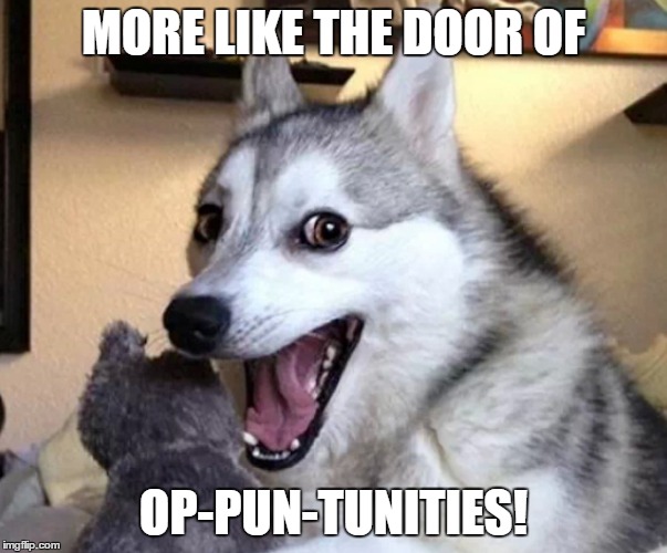 MORE LIKE THE DOOR OF OP-PUN-TUNITIES! | made w/ Imgflip meme maker