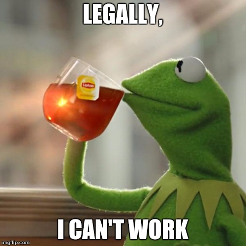 But That's None Of My Business Meme | LEGALLY, I CAN'T WORK | image tagged in memes,but thats none of my business,kermit the frog | made w/ Imgflip meme maker