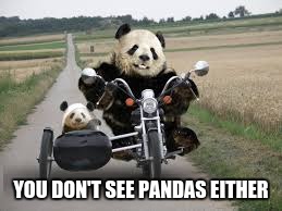 YOU DON'T SEE PANDAS EITHER | made w/ Imgflip meme maker