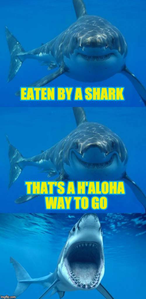 Bad Shark Pun  | EATEN BY A SHARK THAT'S A H'ALOHA WAY TO GO | image tagged in bad shark pun | made w/ Imgflip meme maker