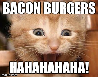 Excited Cat Meme | BACON BURGERS; HAHAHAHAHA! | image tagged in memes,excited cat | made w/ Imgflip meme maker