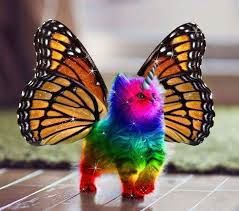 Rainbow Unicorn Butterfly Kitty Blank Meme Template