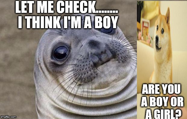 Awkward Moment Sealion | LET ME CHECK........ I THINK I'M A BOY; ARE YOU A BOY OR  A GIRL? | image tagged in memes,awkward moment sealion | made w/ Imgflip meme maker