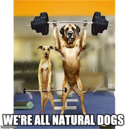 WE'RE ALL NATURAL DOGS | made w/ Imgflip meme maker