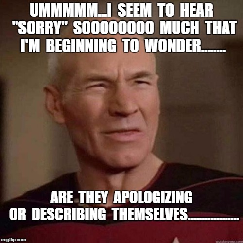 Sorry what | UMMMMM...I  SEEM  TO  HEAR  "SORRY"  SOOOOOOOO  MUCH  THAT  I'M  BEGINNING  TO  WONDER........ ARE  THEY  APOLOGIZING  OR  DESCRIBING  THEMSELVES.................. | image tagged in sorry what | made w/ Imgflip meme maker