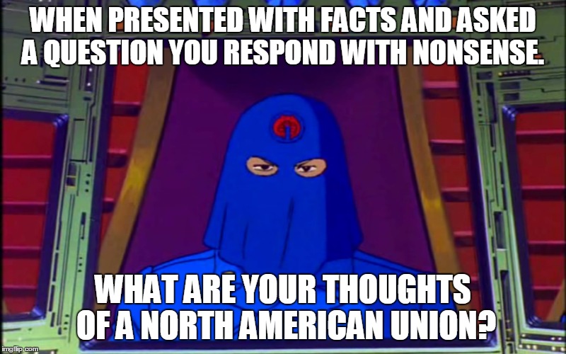 cobra commander 2016 | WHEN PRESENTED WITH FACTS AND ASKED A QUESTION YOU RESPOND WITH NONSENSE. WHAT ARE YOUR THOUGHTS OF A NORTH AMERICAN UNION? | image tagged in cobra commander 2016 | made w/ Imgflip meme maker