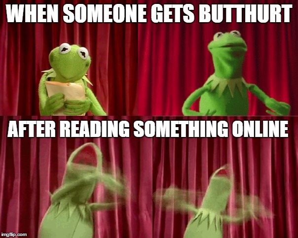 Oh The Humanity | WHEN SOMEONE GETS BUTTHURT; AFTER READING SOMETHING ONLINE | image tagged in meme | made w/ Imgflip meme maker