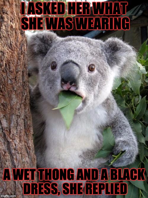 Surprised Koala | I ASKED HER WHAT SHE WAS WEARING; A WET THONG AND A BLACK DRESS, SHE REPLIED | image tagged in memes,surprised koala | made w/ Imgflip meme maker