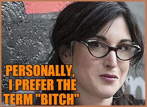 feminist Zeisler | PERSONALLY,  I PREFER THE TERM "B**CH" | image tagged in feminist zeisler | made w/ Imgflip meme maker