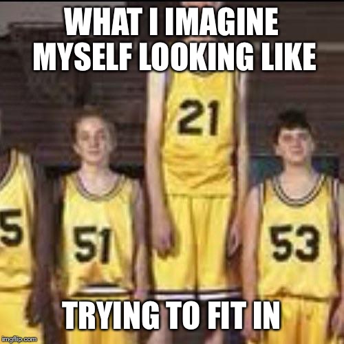 Abnormally tall basketball player | WHAT I IMAGINE MYSELF LOOKING LIKE; TRYING TO FIT IN | image tagged in abnormally tall basketball player,trying to fit in,getting old,uncool | made w/ Imgflip meme maker