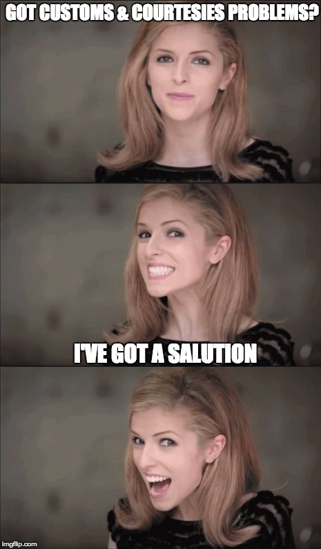 Bad Pun Anna Kendrick | GOT CUSTOMS & COURTESIES PROBLEMS? I'VE GOT A SALUTION | image tagged in memes,bad pun anna kendrick | made w/ Imgflip meme maker