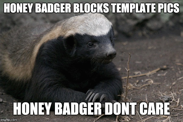 HONEY BADGER BLOCKS TEMPLATE PICS HONEY BADGER DONT CARE | made w/ Imgflip meme maker