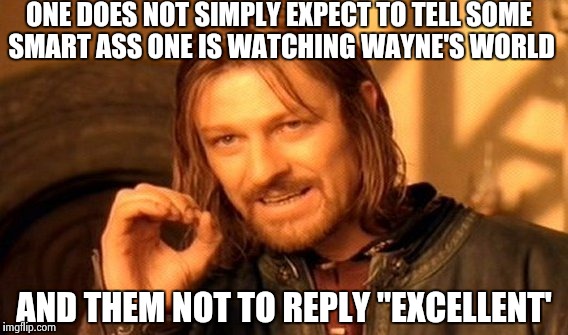 One Does Not Simply | ONE DOES NOT SIMPLY EXPECT TO TELL SOME SMART ASS ONE IS WATCHING WAYNE'S WORLD; AND THEM NOT TO REPLY "EXCELLENT' | image tagged in memes,one does not simply | made w/ Imgflip meme maker